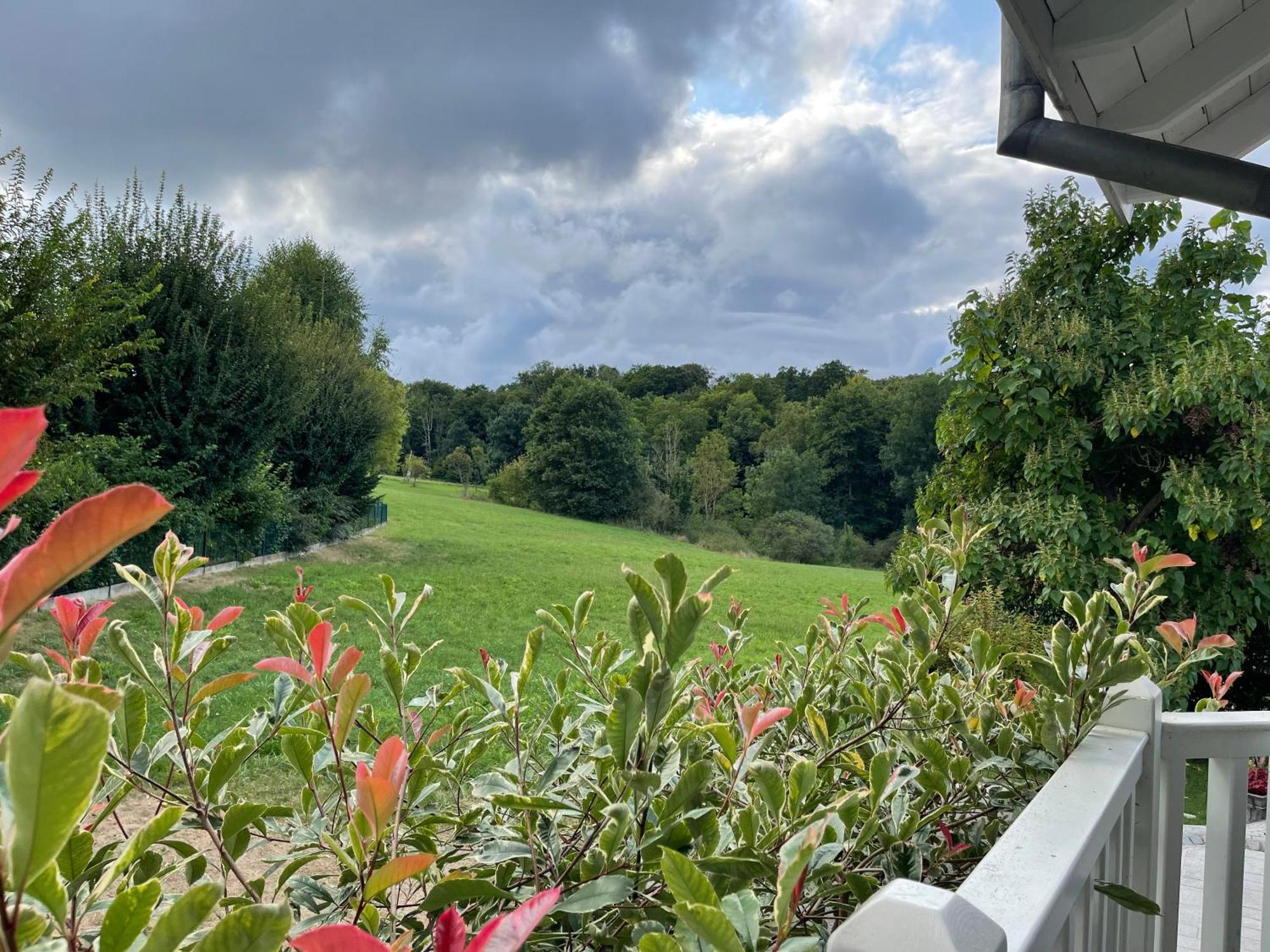 Tulipes Et Cetera Hotel Waldighoffen Eksteriør billede