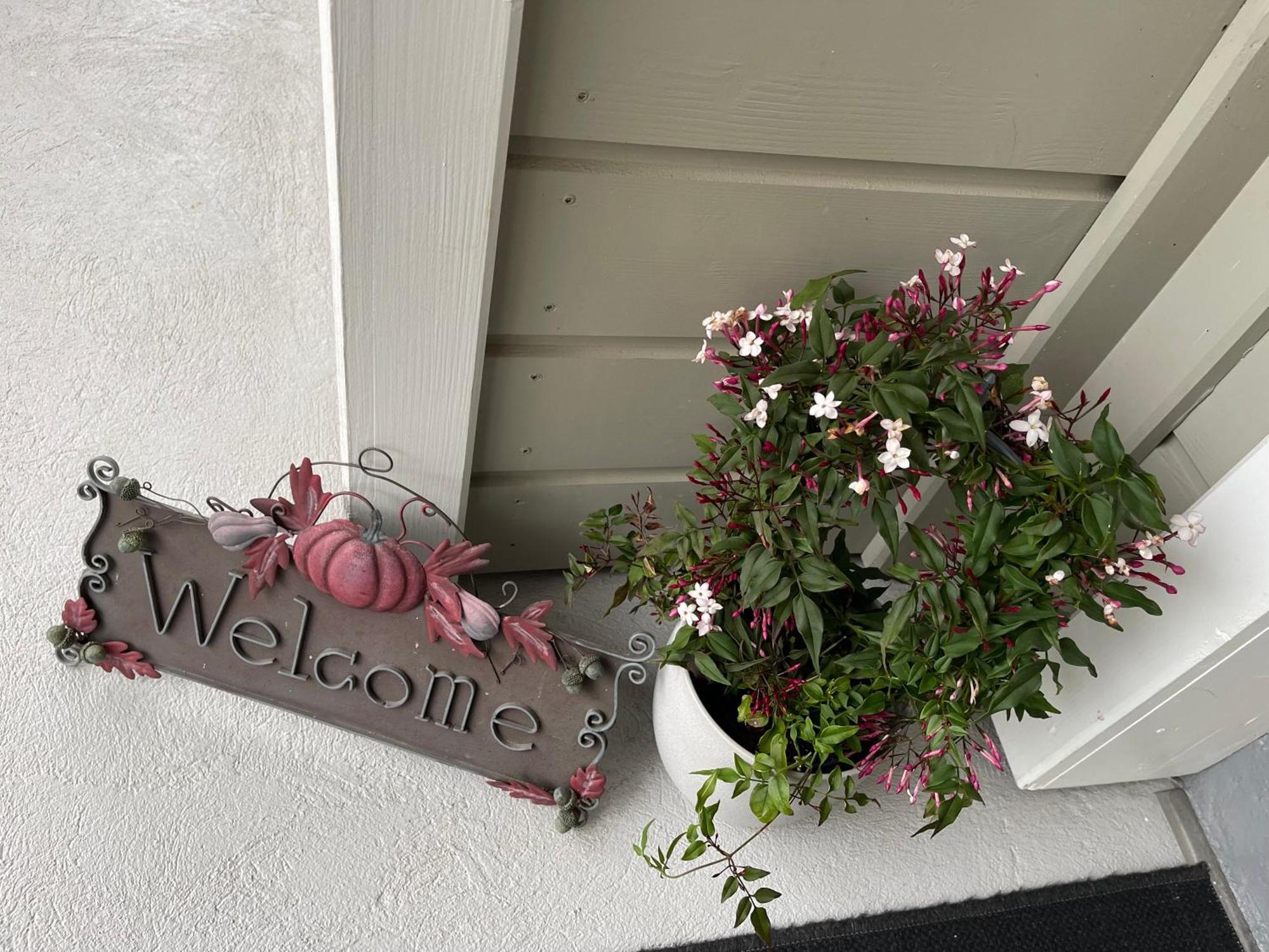 Tulipes Et Cetera Hotel Waldighoffen Eksteriør billede